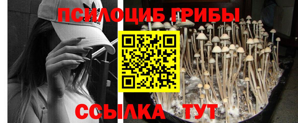 Галлюциногенные грибы ЛСД  Вход с VPN  Псилоцибиновые грибы MAGIC MUSHROOMS  Узловая 